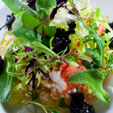 lobster-salad